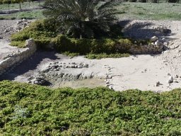 Ciudad de Elche 2022